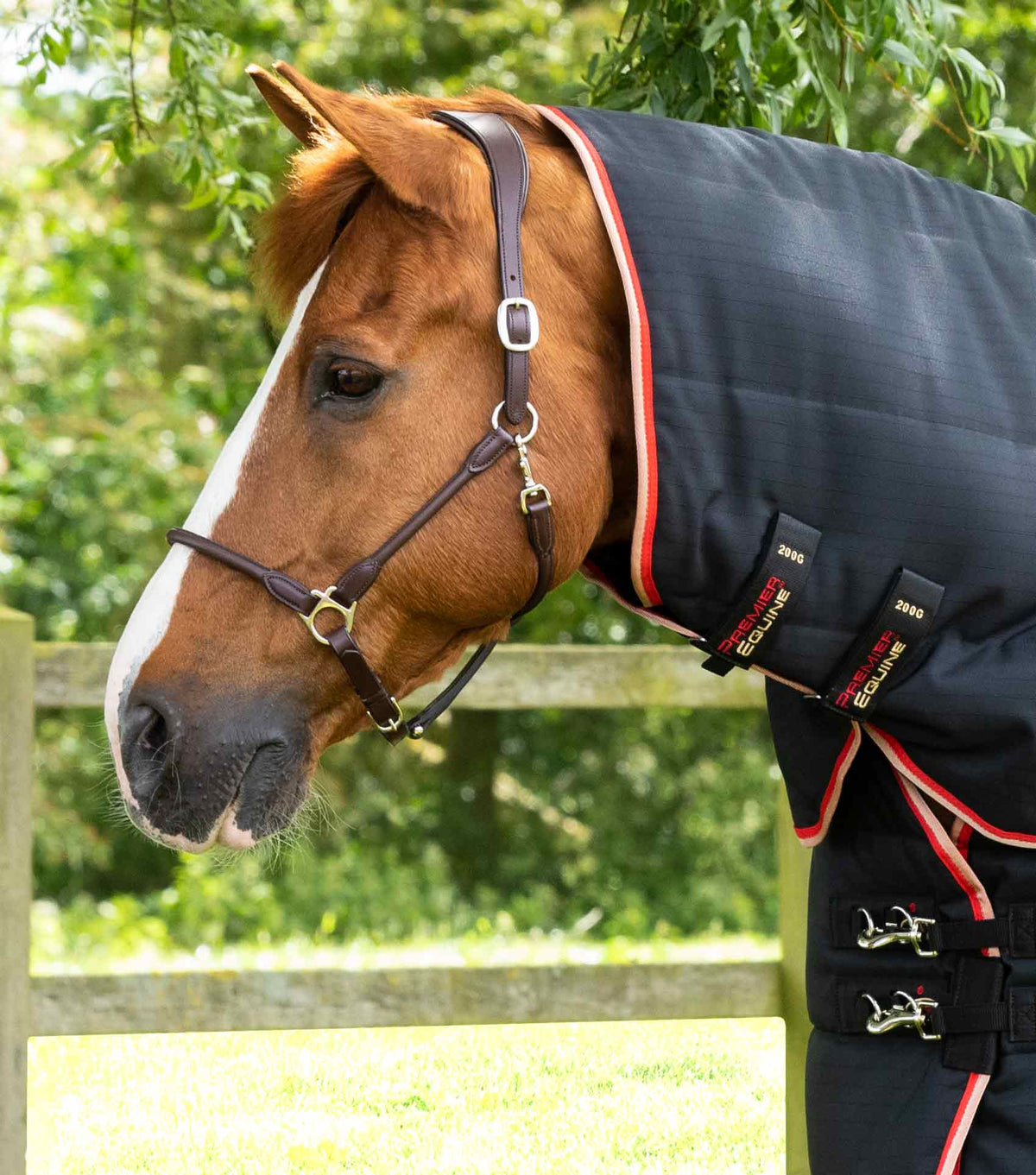 Stable Buster 450g couverture d’écurie avec Neck Cover