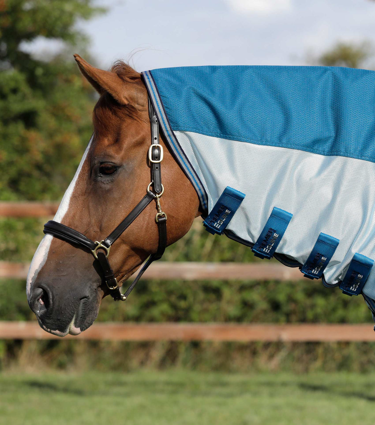 Stay-Dry Mesh Air – couverture anti-mouches avec sursangles