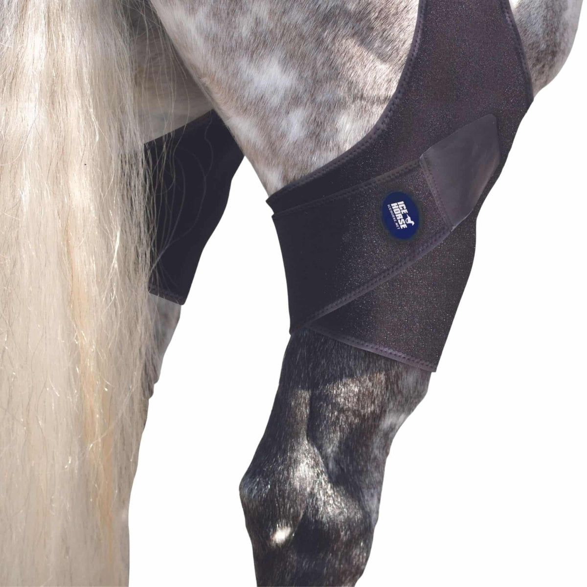 Ice Horse Stifle Wraps, 4 inserts froids inclus, refroidissement ciblé du grasset difficile d'accès