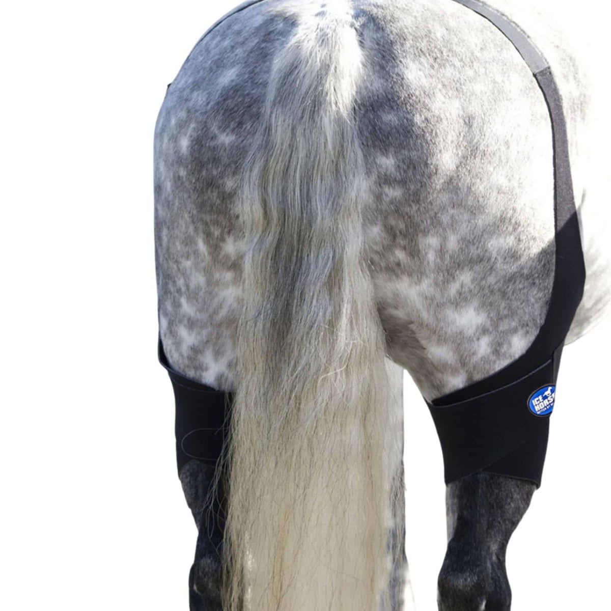 Ice Horse Stifle Wraps, 4 inserts froids inclus, refroidissement ciblé du grasset difficile d'accès