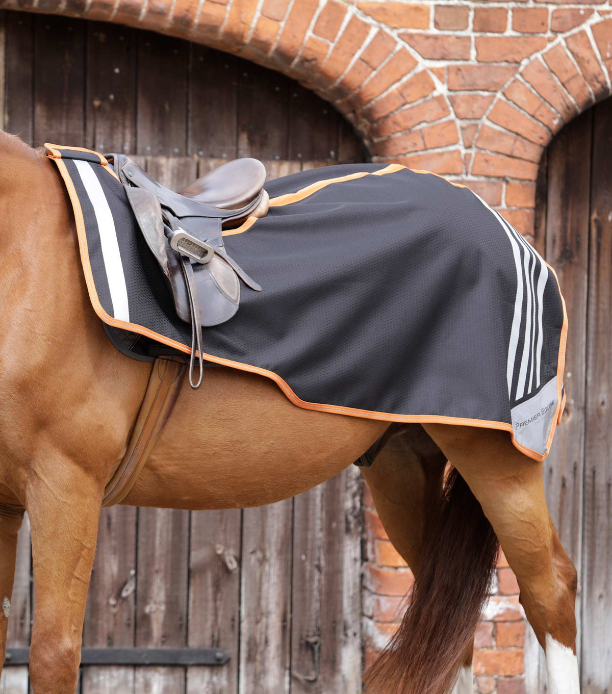 Stratus Horse Exercise Sheet