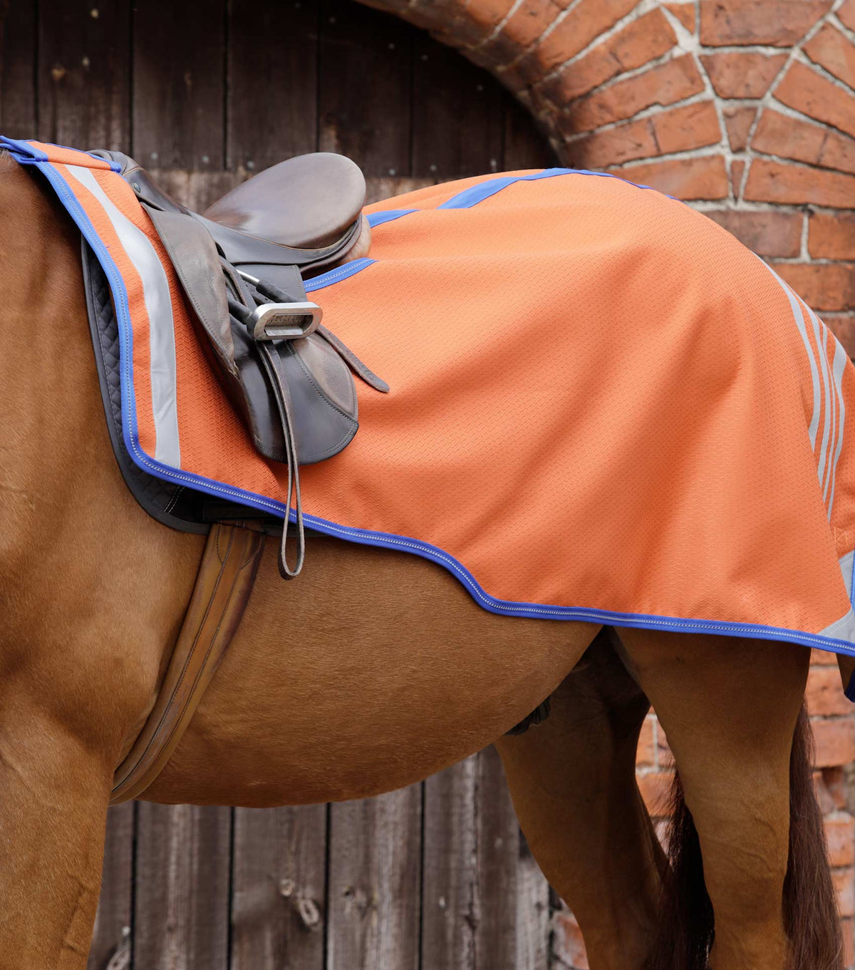 Stratus Horse Exercise Sheet