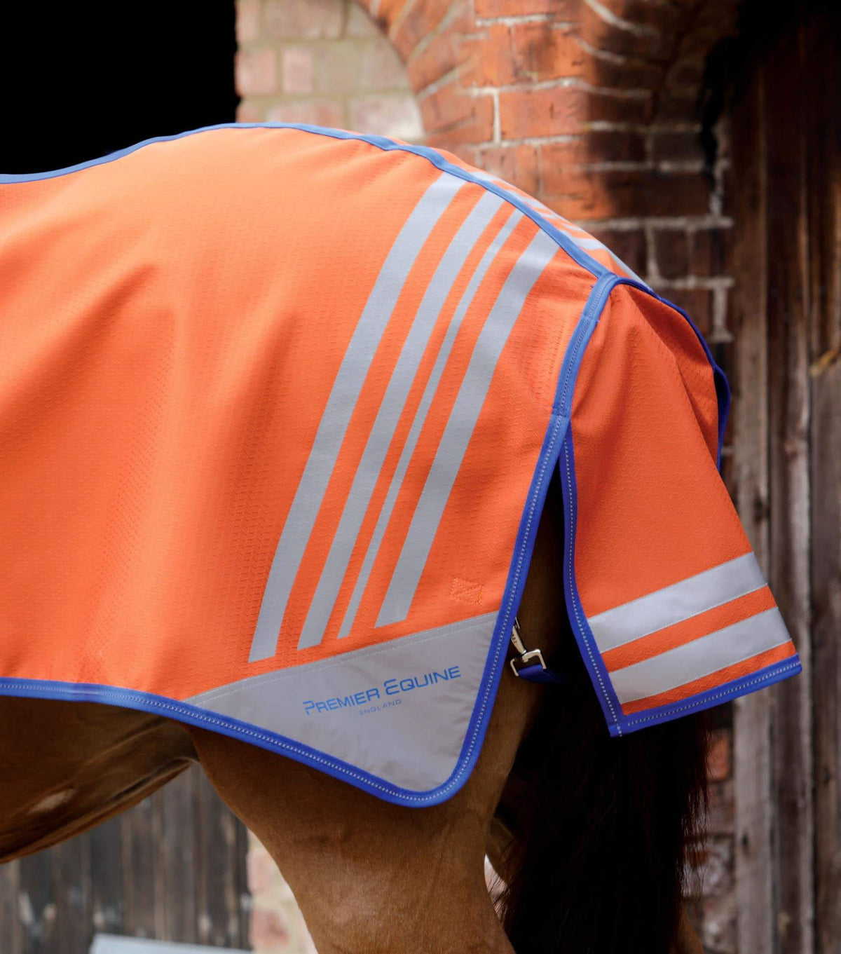 Stratus Horse Exercise Sheet