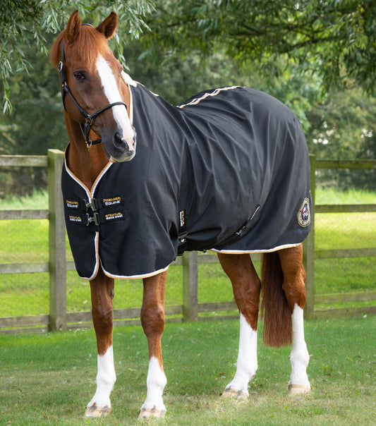 Stratus Horse Stable Sheet