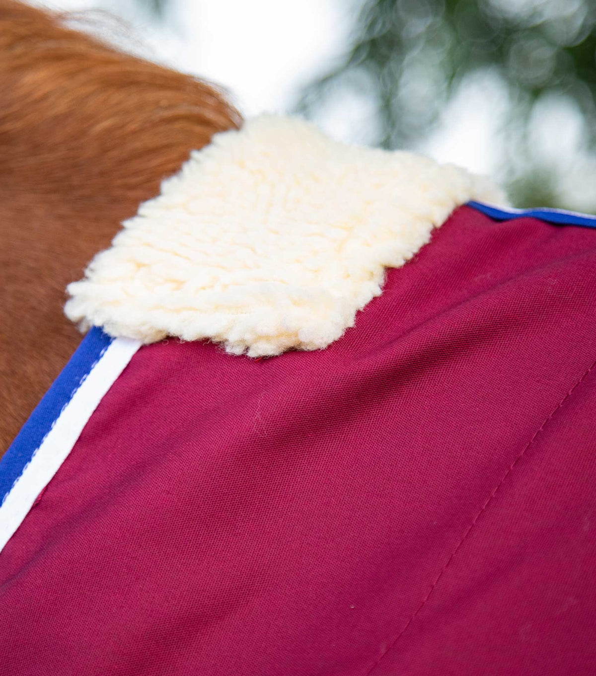 Stratus Horse Stable Sheet