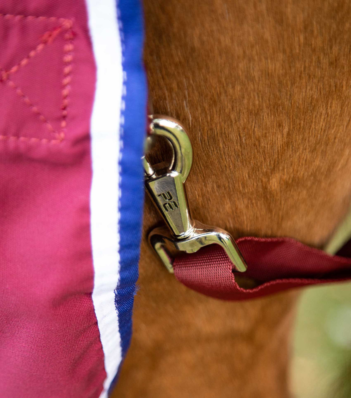 Stratus Horse Stable Sheet
