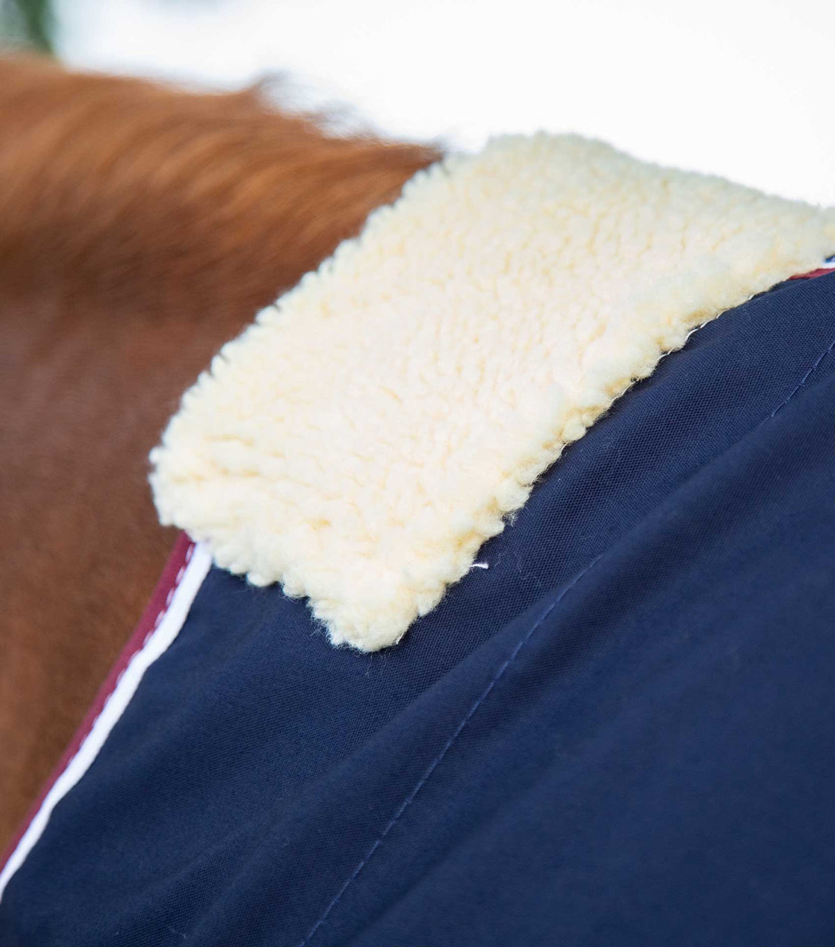 Stratus Horse Stable Sheet