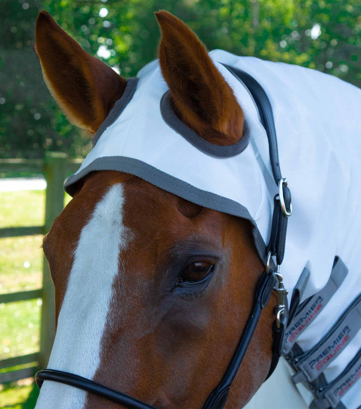 Sweet Itch Buster couverture anti-mouches avec rabat ventral
