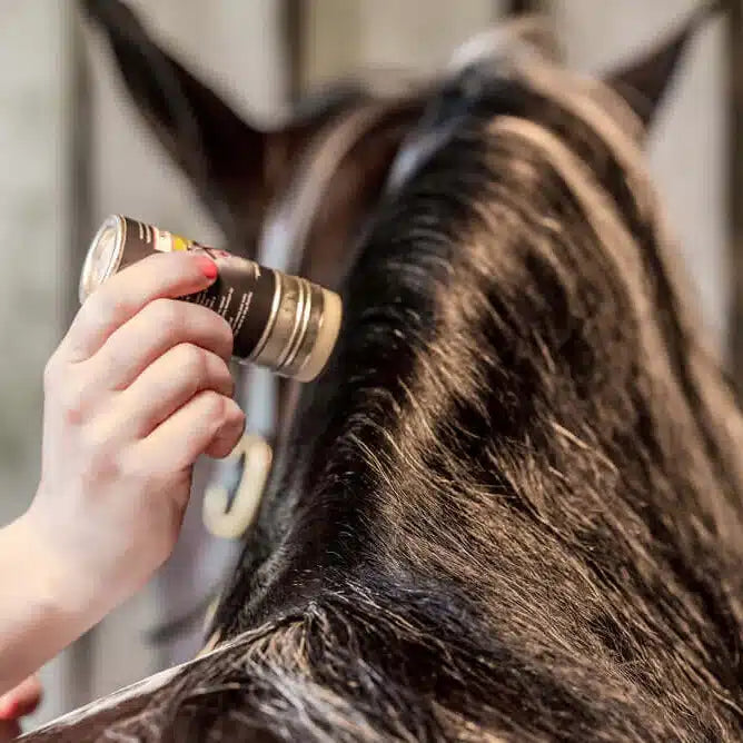 Smart Grooming Stick de cire à natter, discipline les crins et améliore la prise, non gras