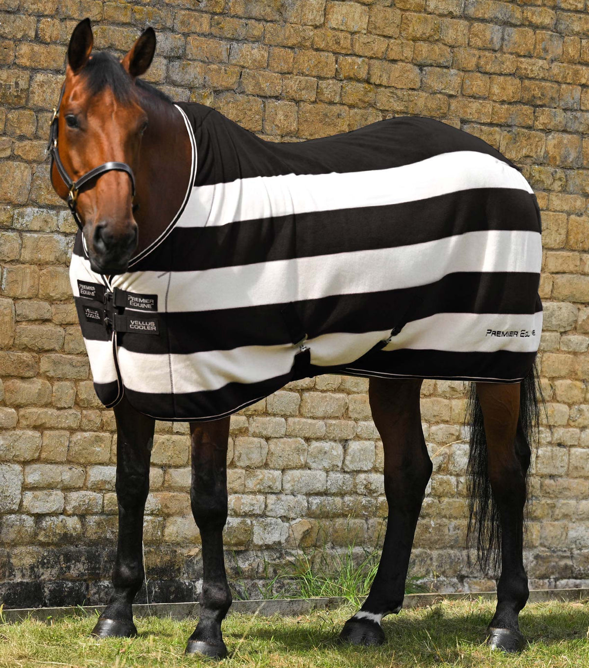 Vellus Horse Fleece couverture