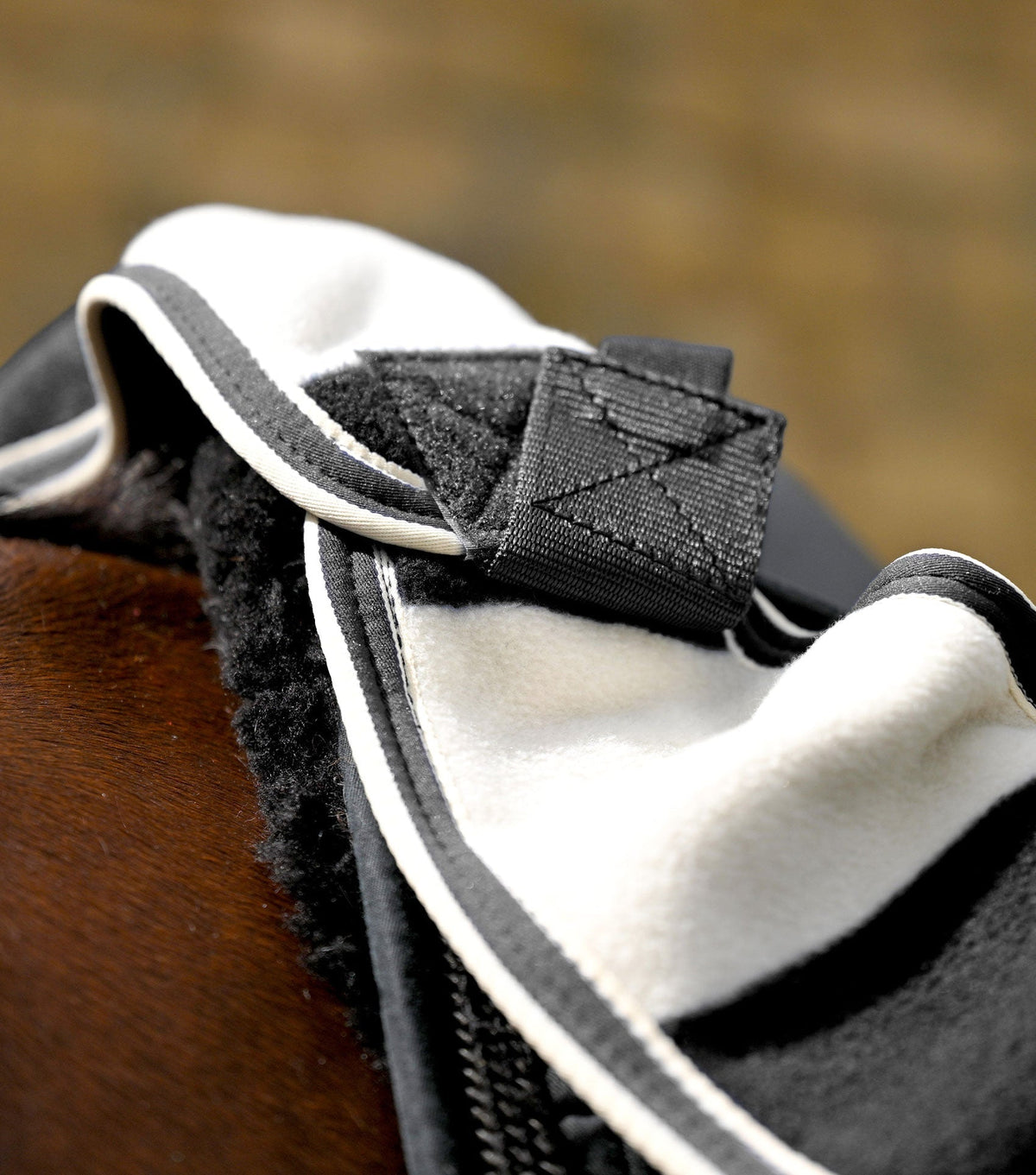 Vellus Horse Fleece Exercise Sheet