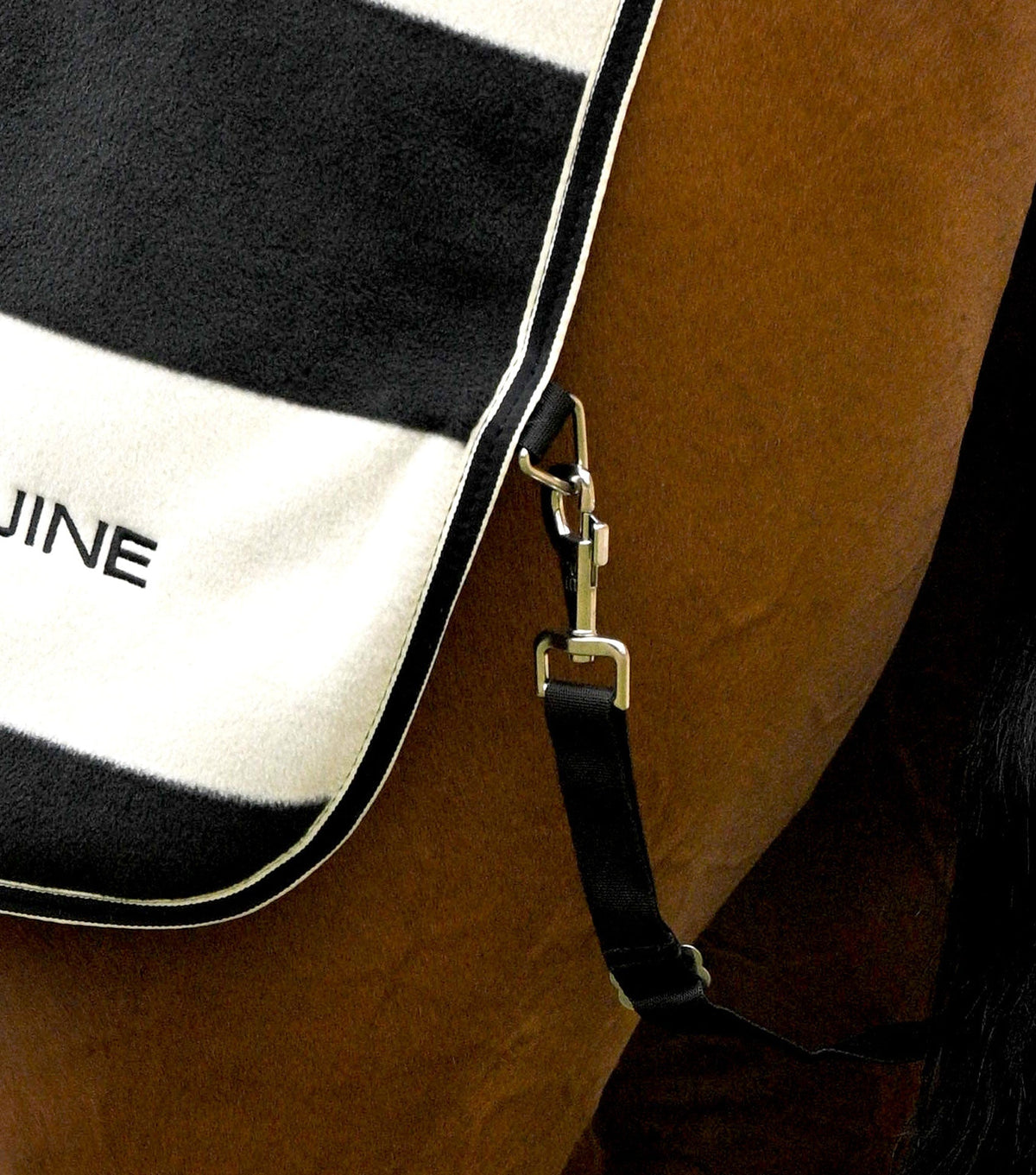 Vellus Horse Fleece Exercise Sheet