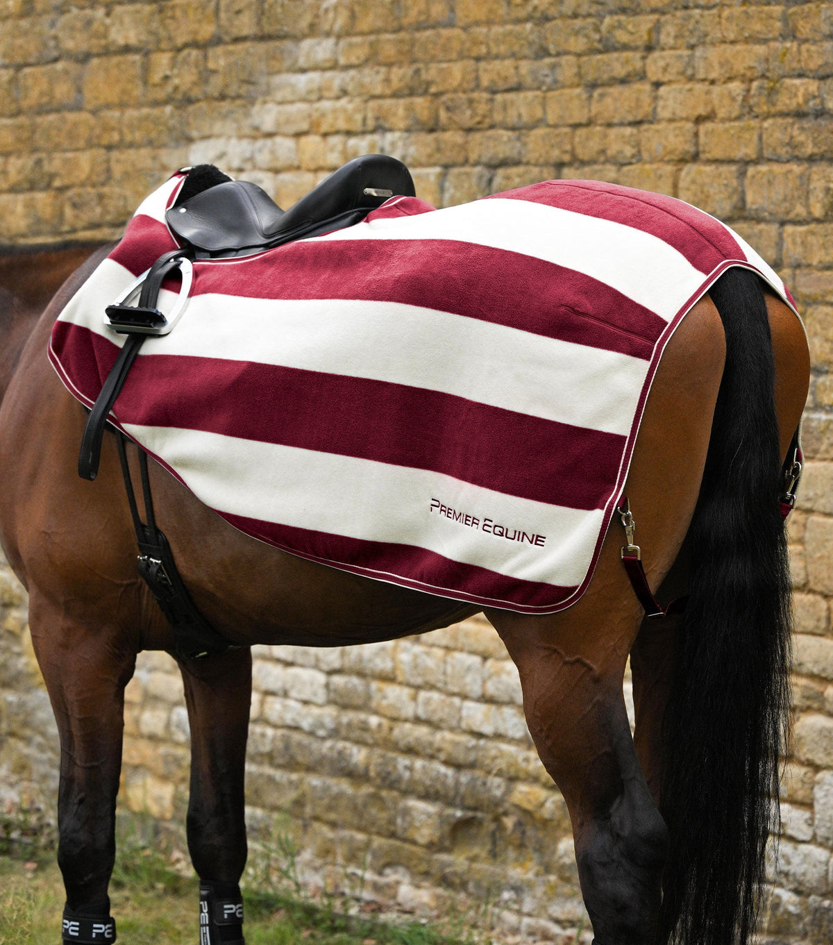 Vellus Horse Fleece Exercise Sheet