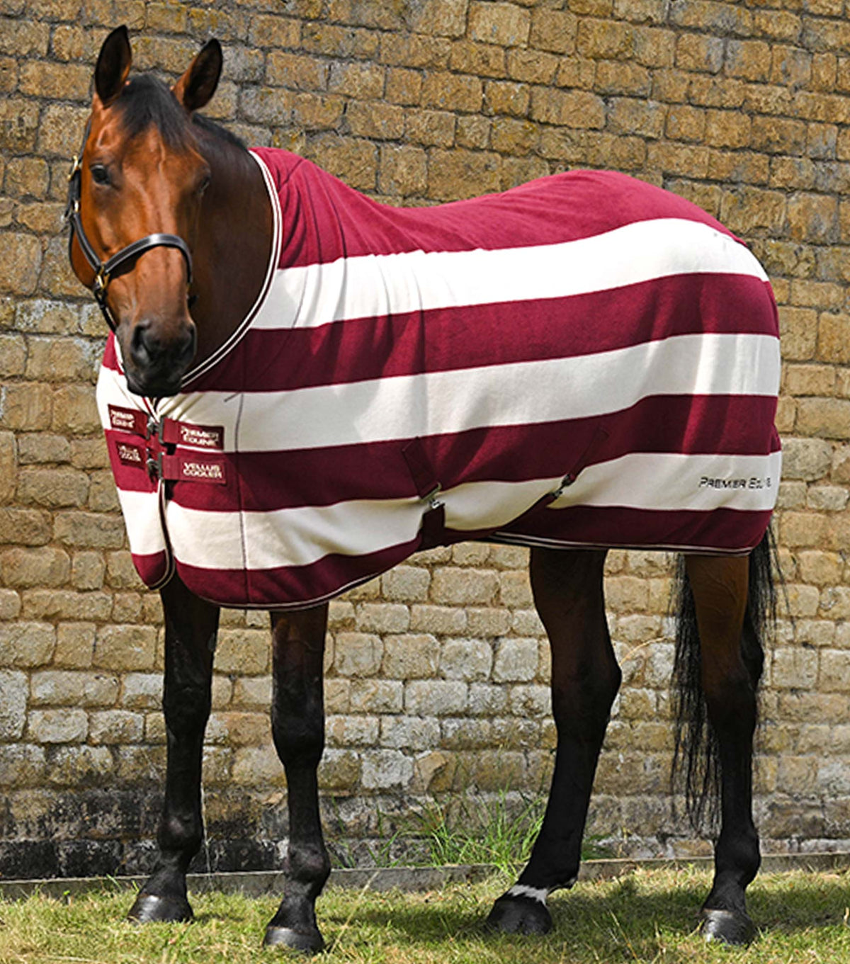 Vellus Horse Fleece couverture