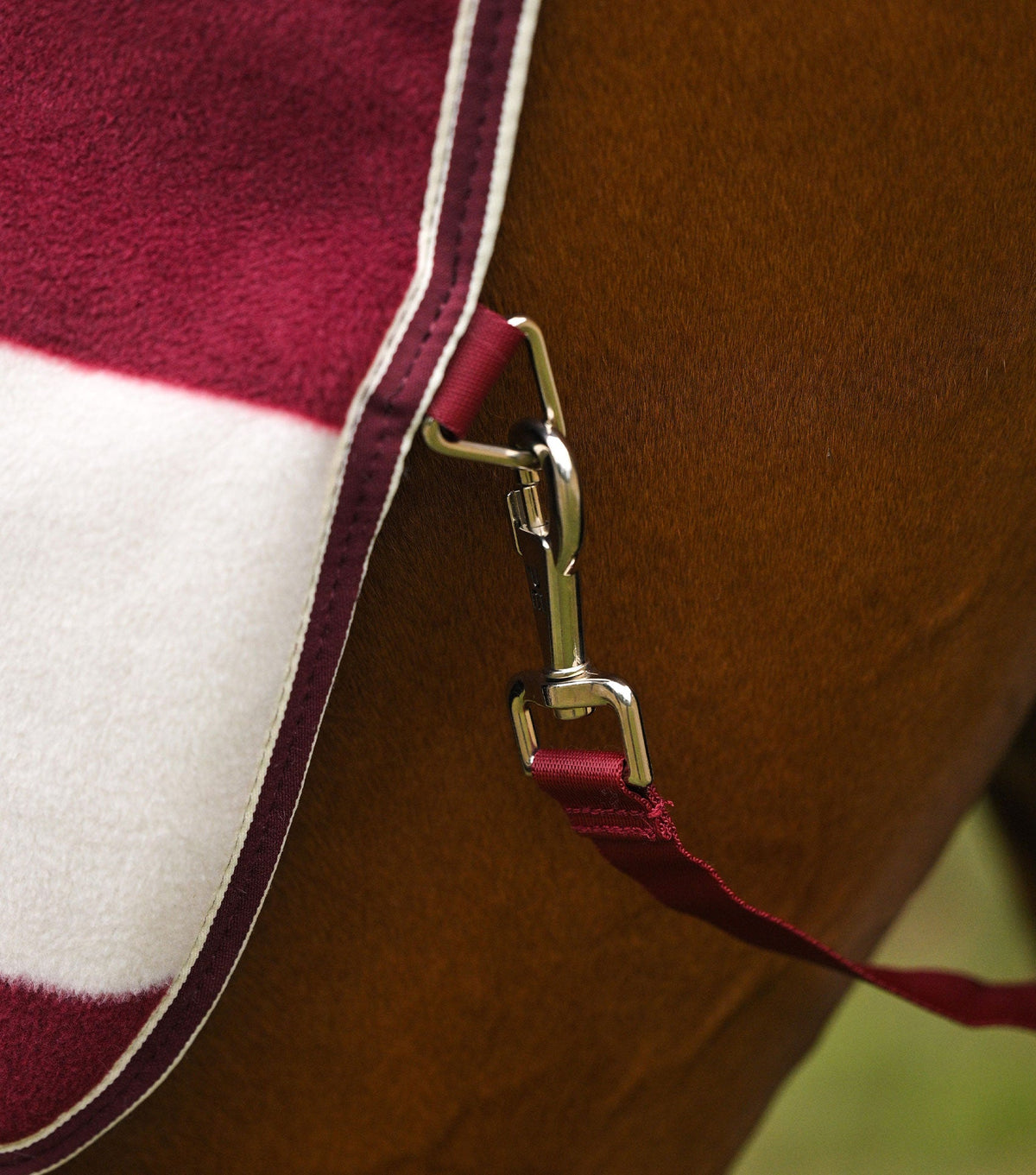 Vellus Horse Fleece Exercise Sheet
