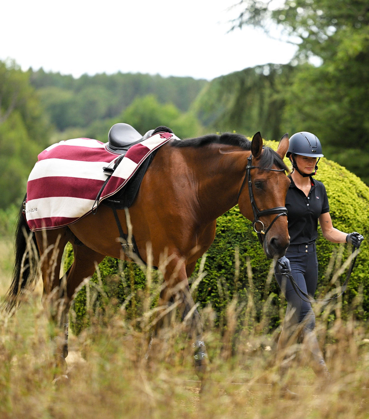 Vellus Horse Fleece Exercise Sheet