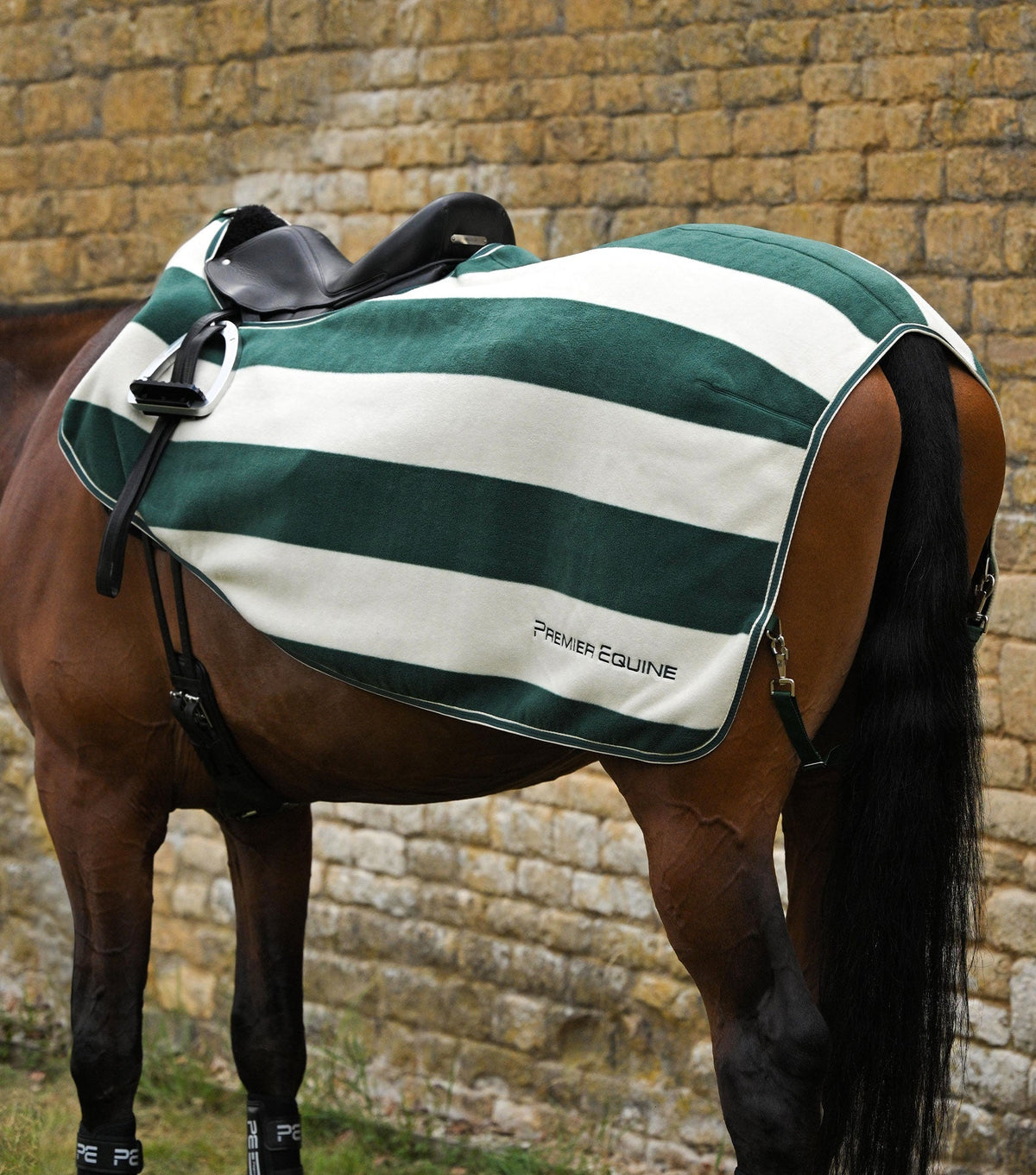 Vellus Horse Fleece Exercise Sheet