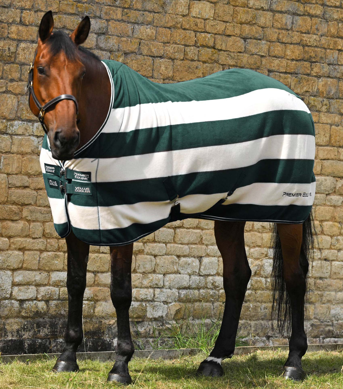 Vellus Horse Fleece couverture