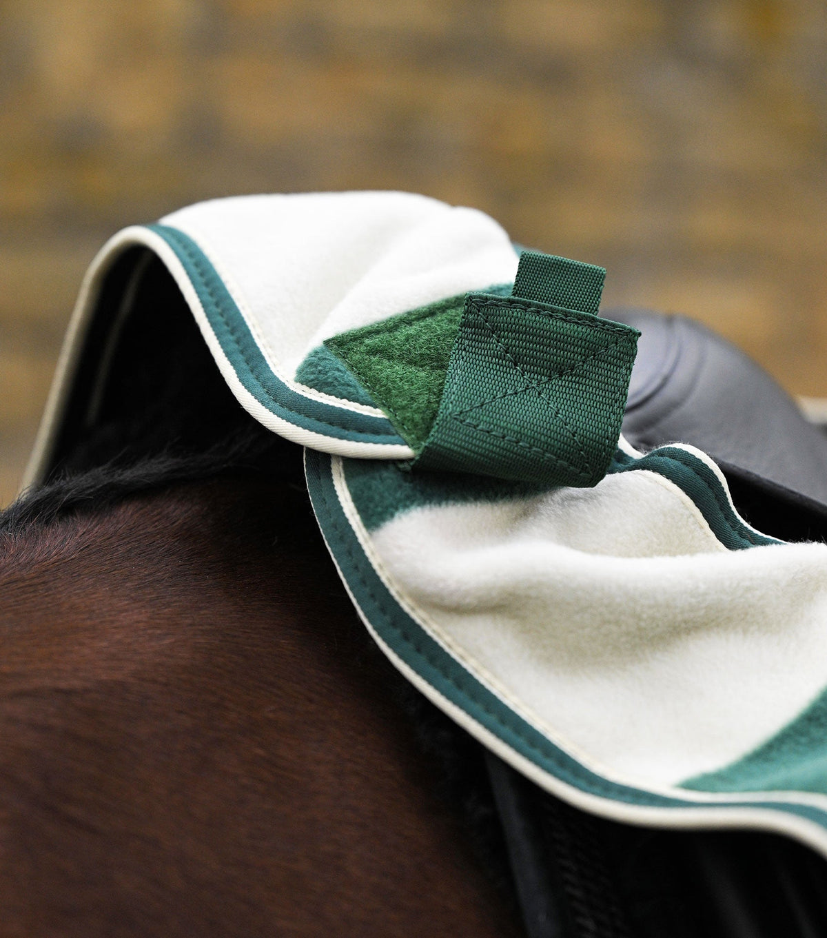 Vellus Horse Fleece Exercise Sheet