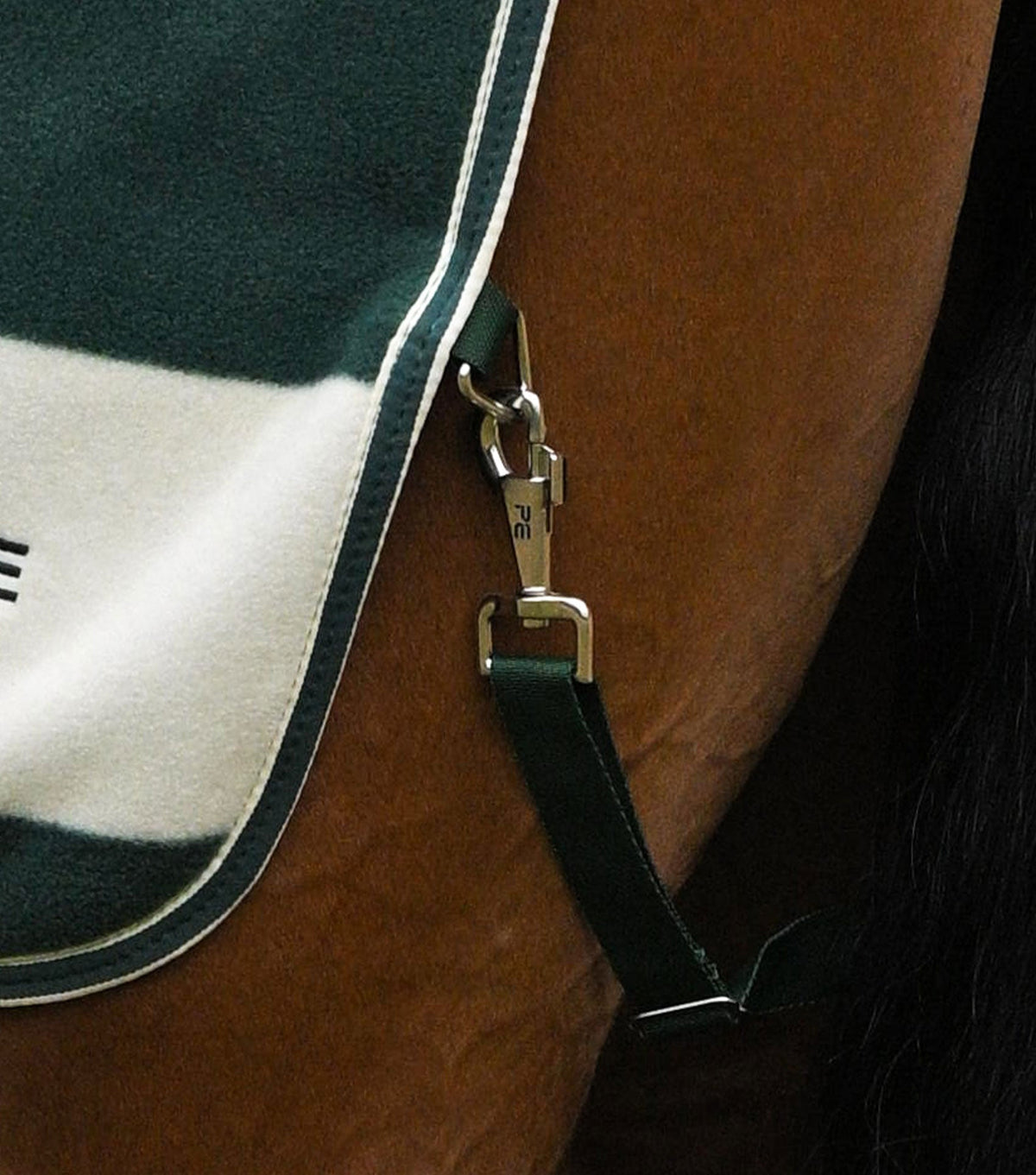 Vellus Horse Fleece Exercise Sheet