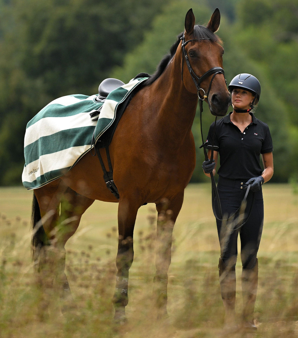 Vellus Horse Fleece Exercise Sheet