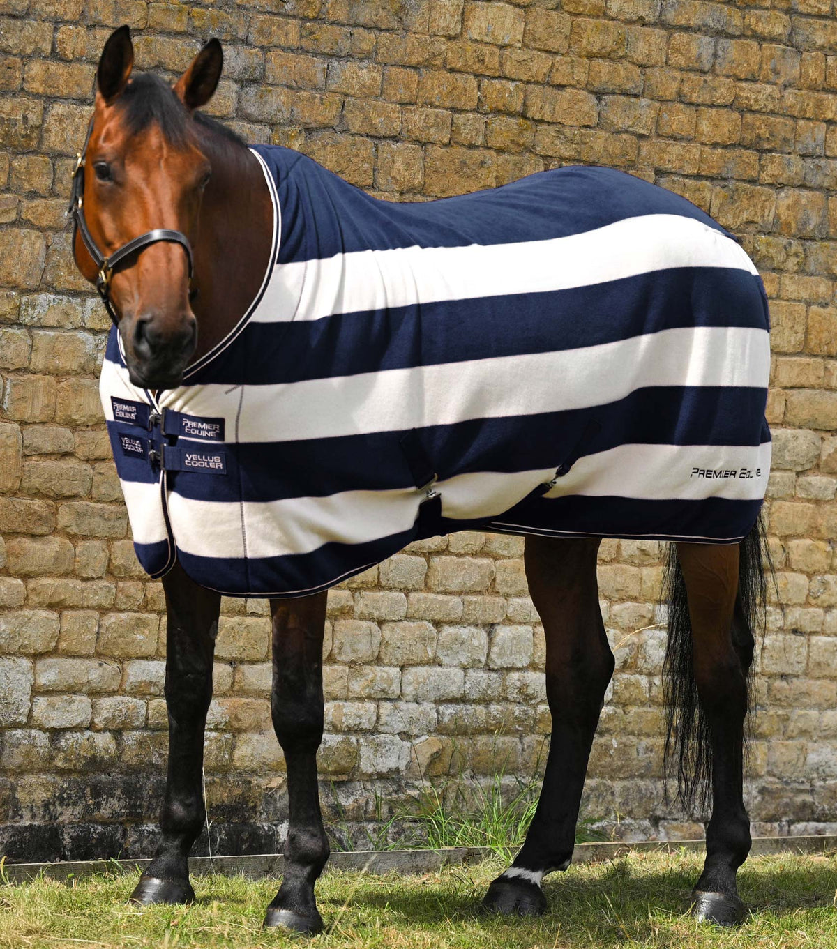 Vellus Horse Fleece couverture
