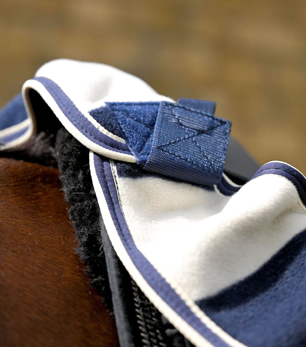 Vellus Horse Fleece Exercise Sheet