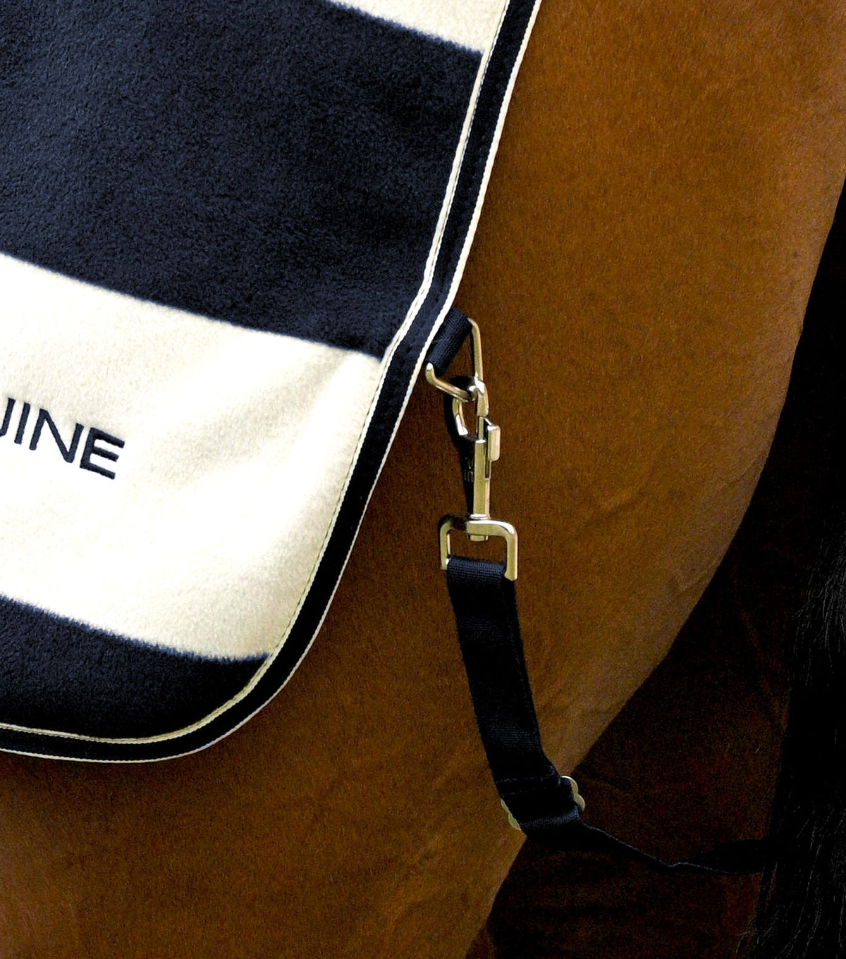 Vellus Horse Fleece Exercise Sheet