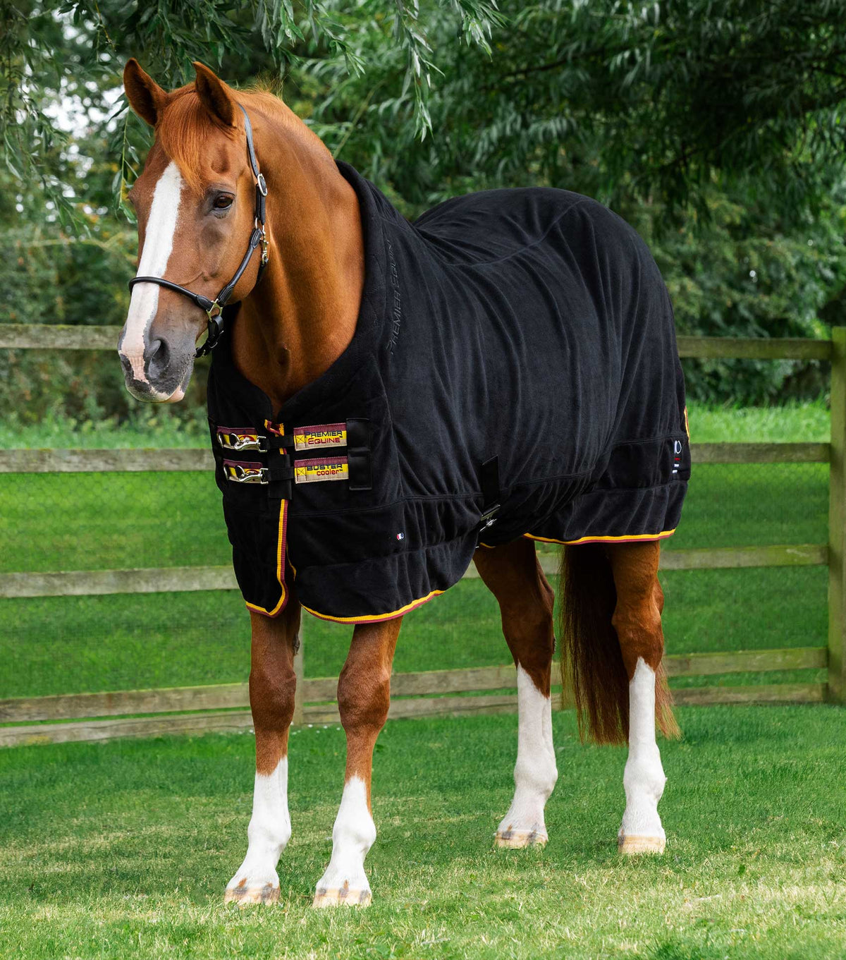 Buster chemise séchante polaire – Continental Edition
