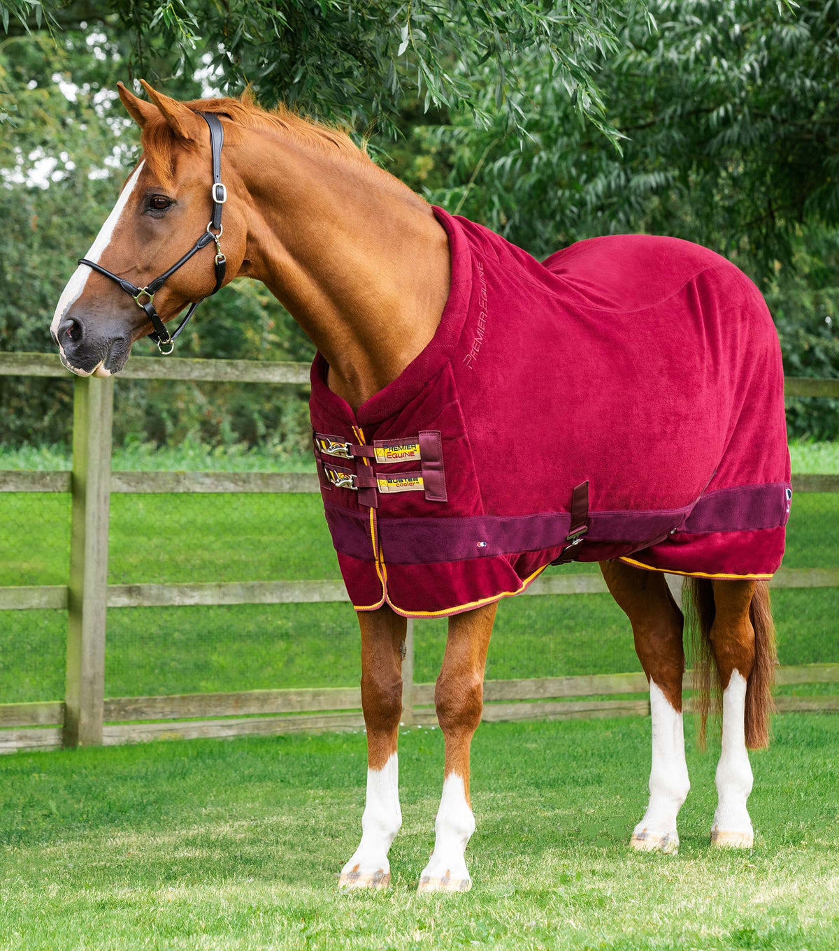 Buster chemise séchante polaire – Continental Edition