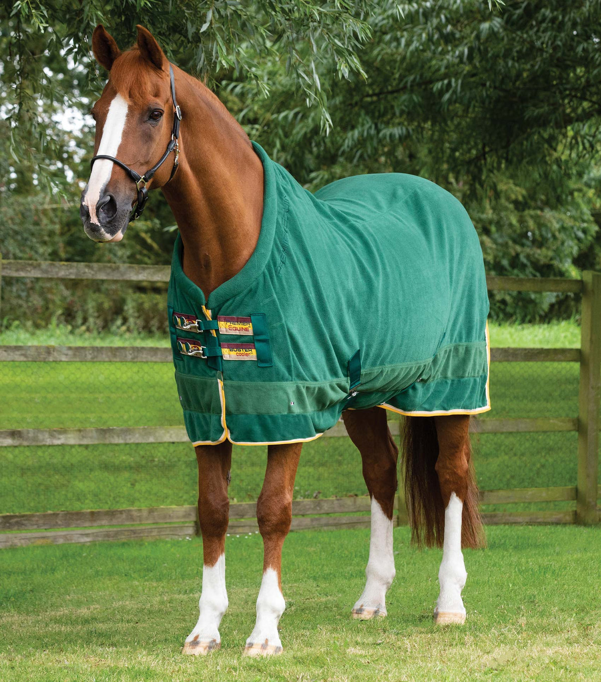 Buster chemise séchante polaire – Continental Edition