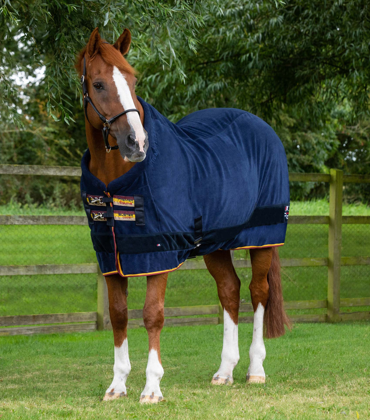 Buster chemise séchante polaire – Continental Edition
