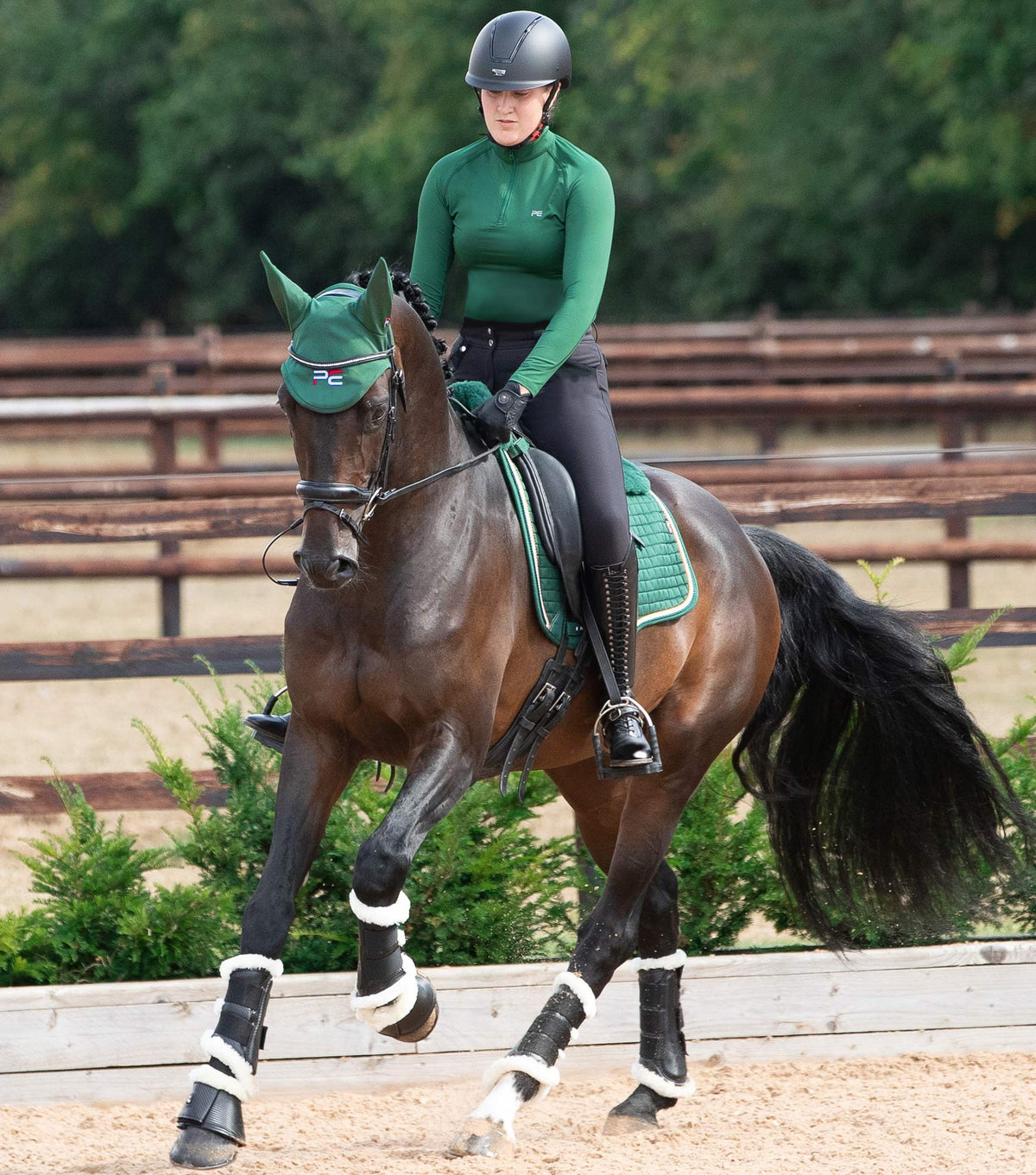 Close Contact laine mérinos European tapis de selle – Tapis de dressage