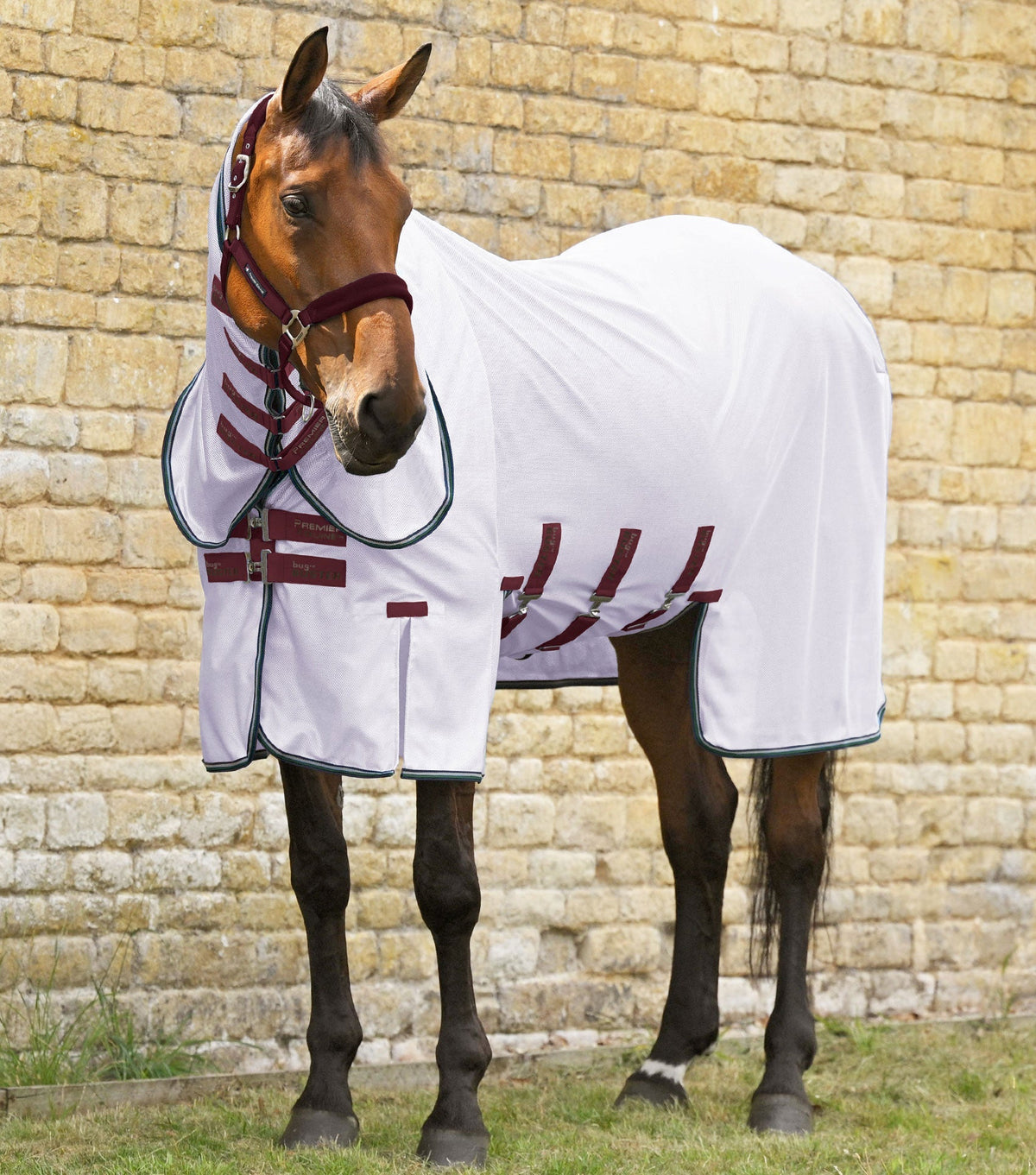 Combo Bug Buster couverture anti-mouches avec rabat ventral