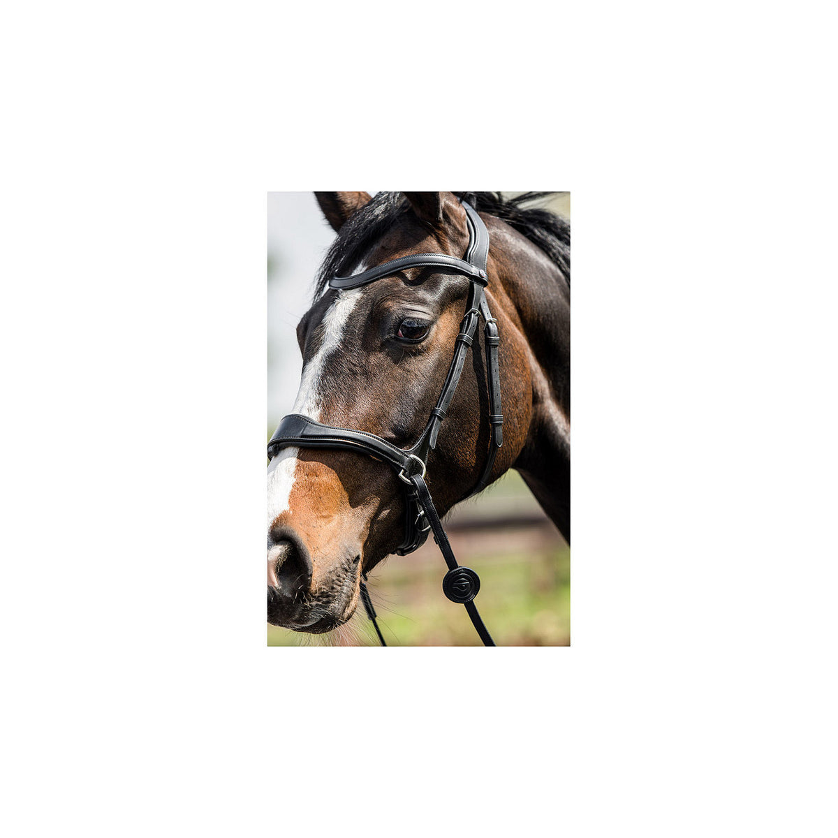 TRUST Falsterbo T-motion bridle