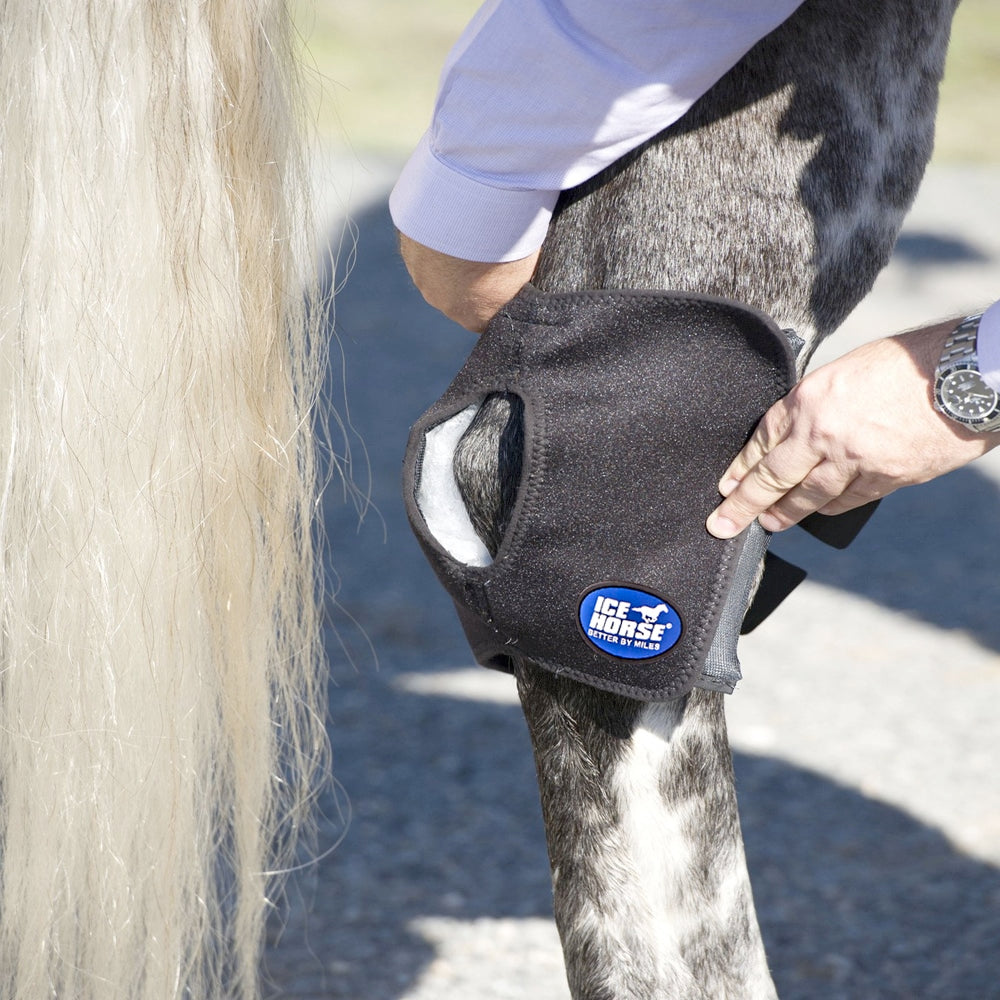 Ice Horse Hock Wrap, 6 inserts froids inclus, enveloppes de cryothérapie pour le jarret