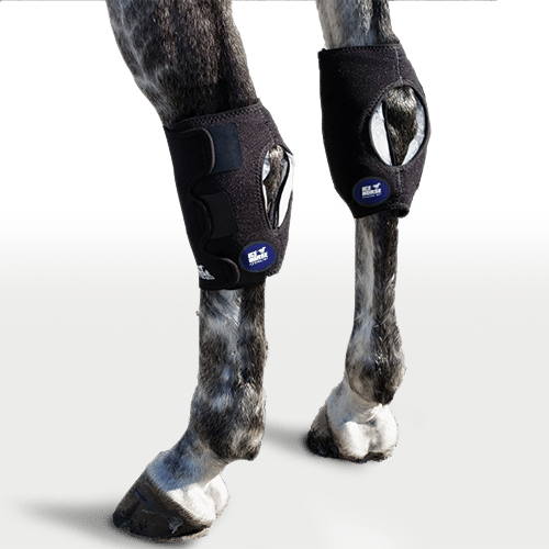 Ice Horse Hock Wrap, 6 inserts froids inclus, enveloppes de cryothérapie pour le jarret