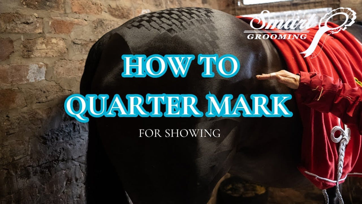 Smart Grooming Peigne à damiers, motifs nets et réguliers, pansage original
