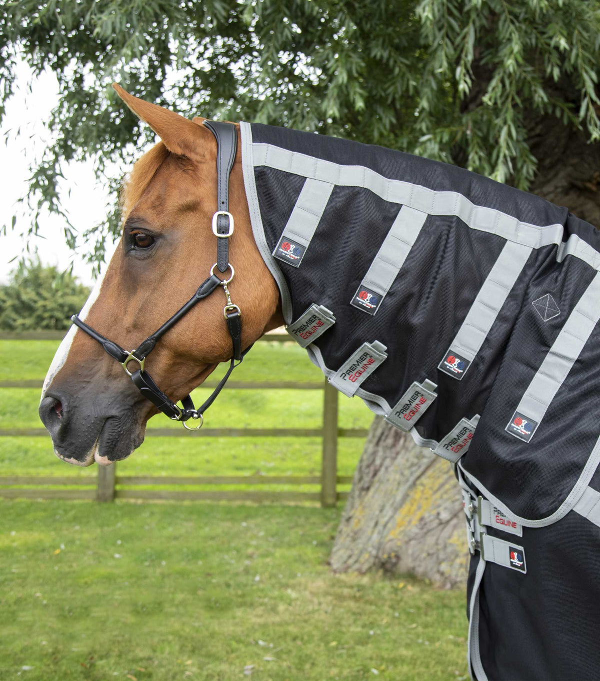 Magni-Teque Magnetic Horse Rug avec Neck Cover