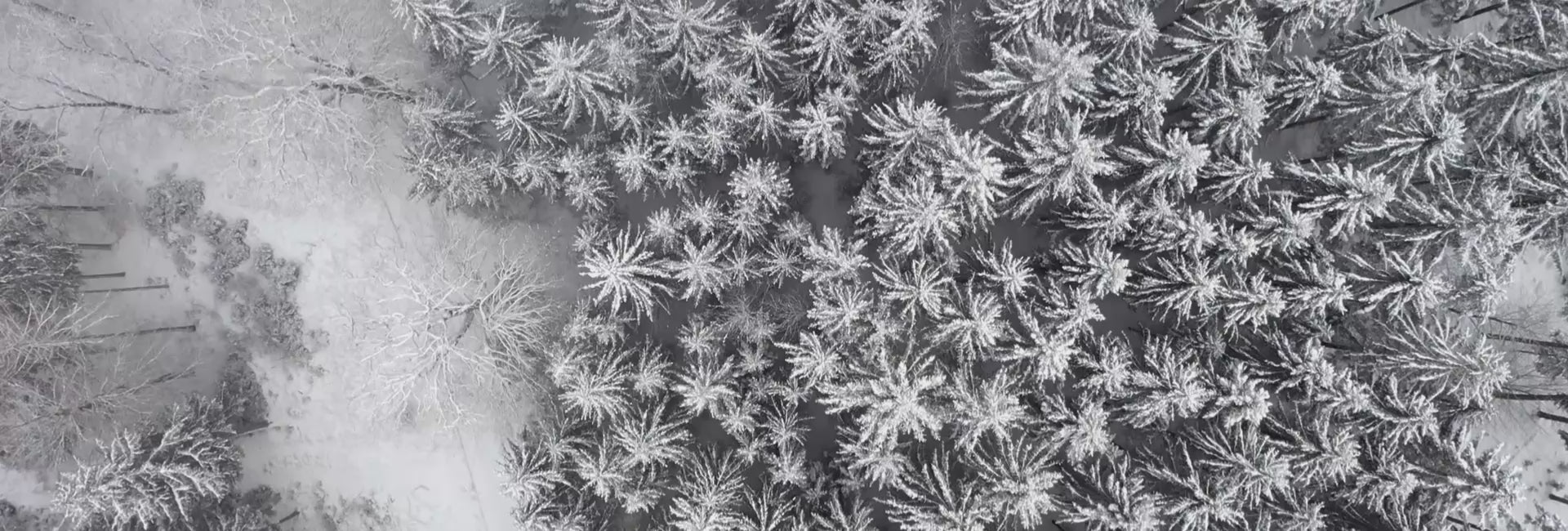 Charger la vidéo : 