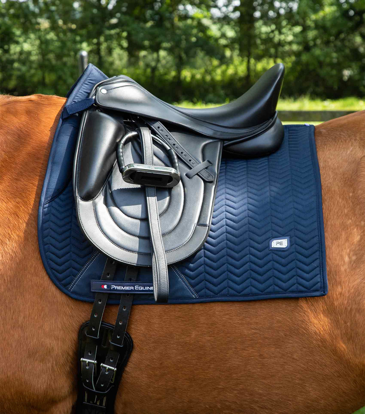 Sovereign Tapis de dressage