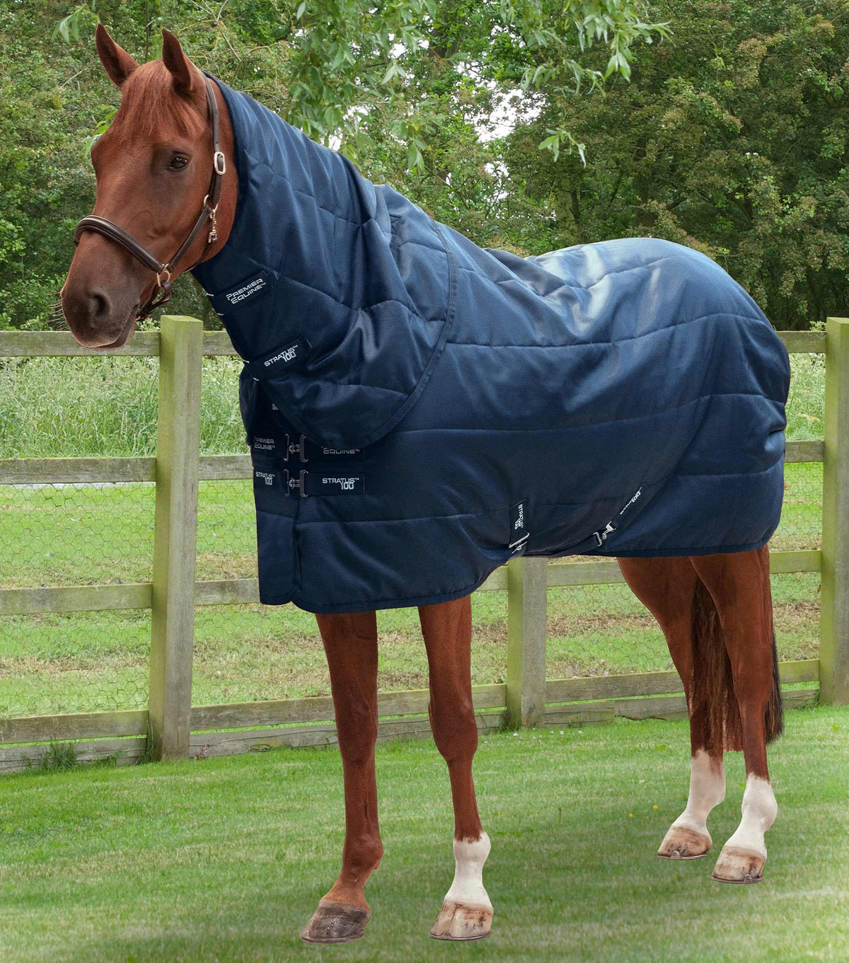 Stratus couverture d’écurie 100g avec Neck Cover