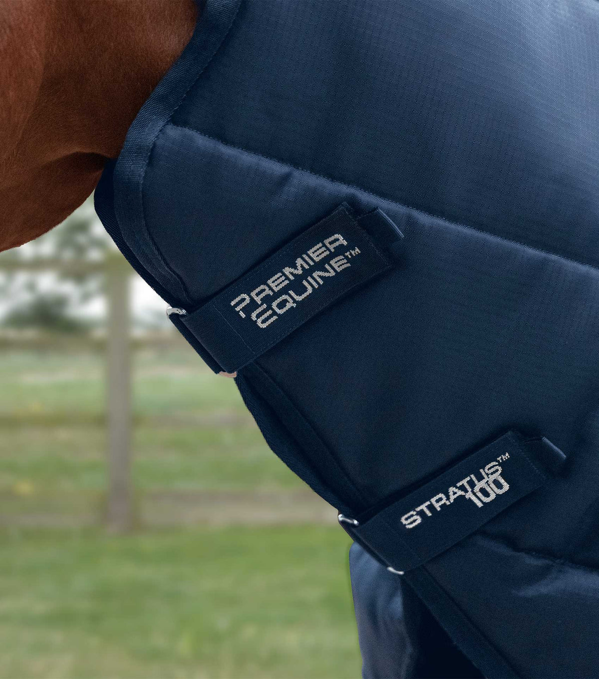 Stratus couverture d’écurie 100g avec Neck Cover