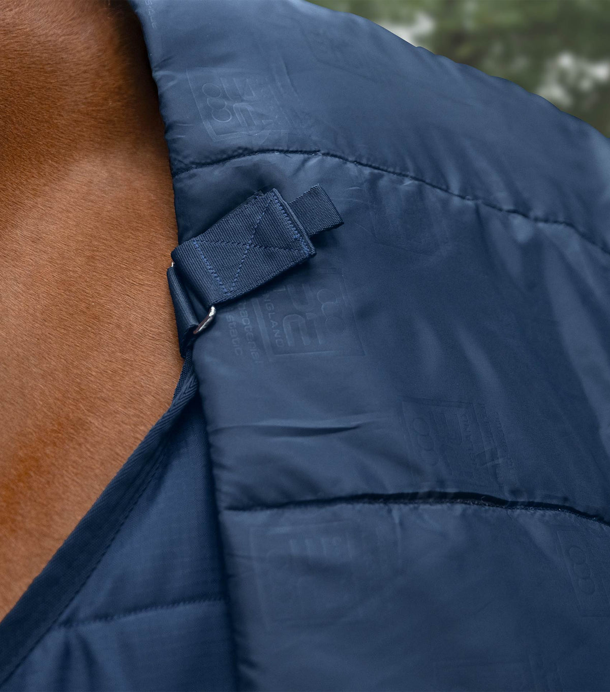 Stratus couverture d’écurie 100g avec Neck Cover