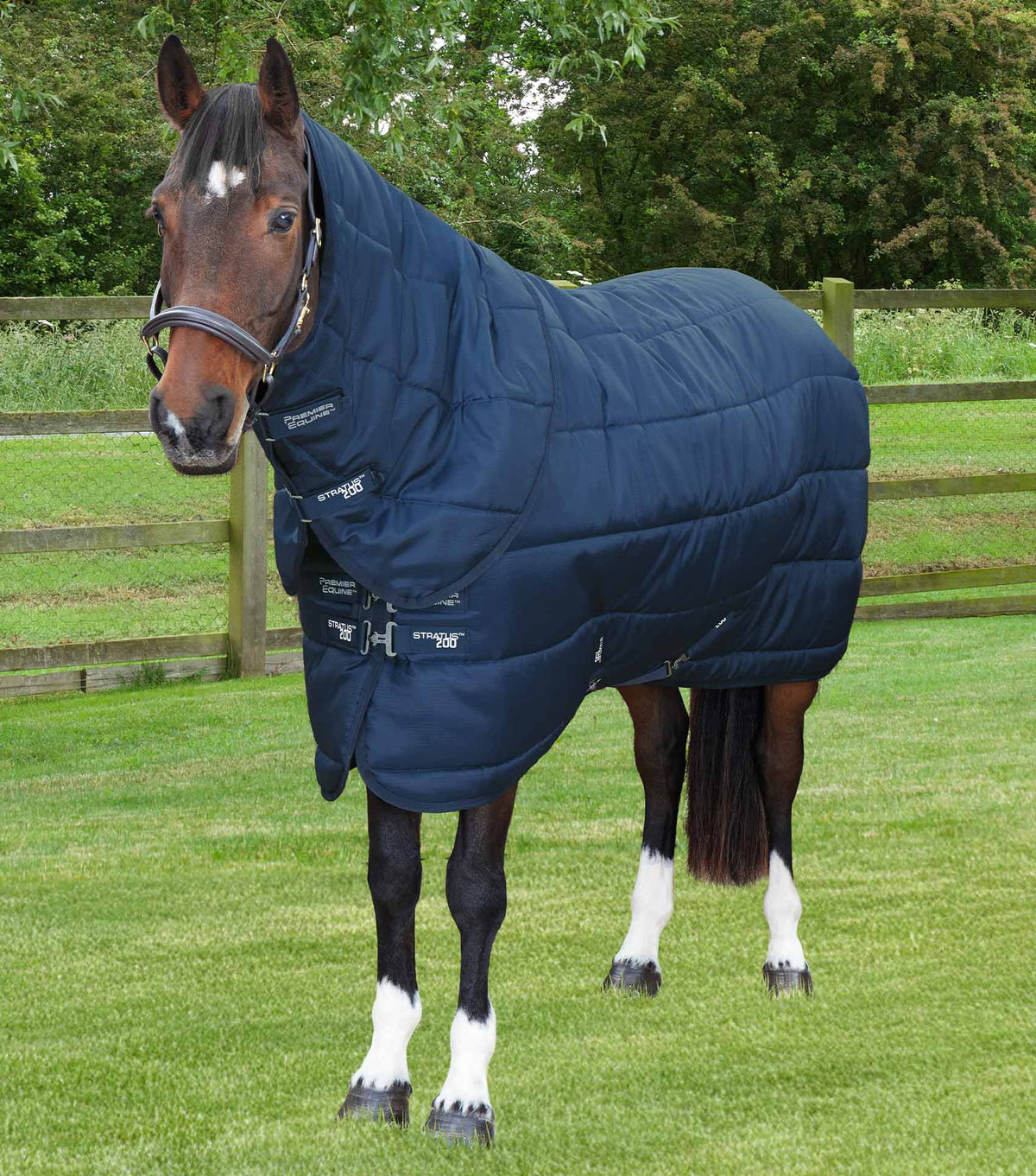 Stratus couverture d’écurie 200g avec Neck Cover