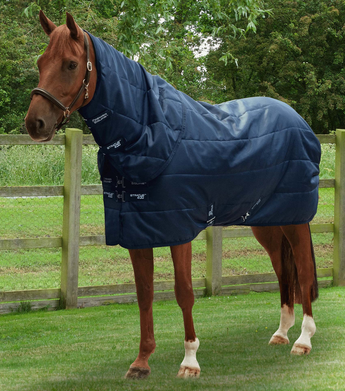 Stratus couverture d’écurie 400g avec Neck Cover