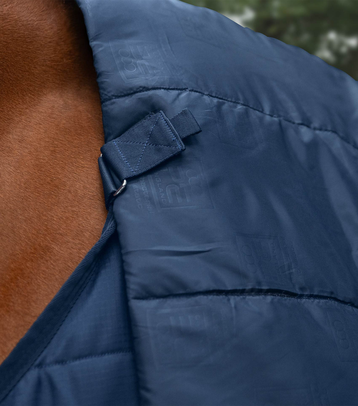 Stratus couverture d’écurie 400g avec Neck Cover