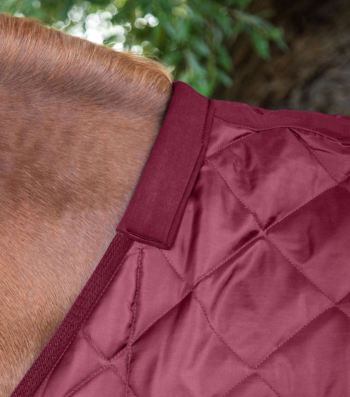 Tuscan couverture d’écurie 200g